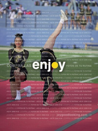 Joy05964