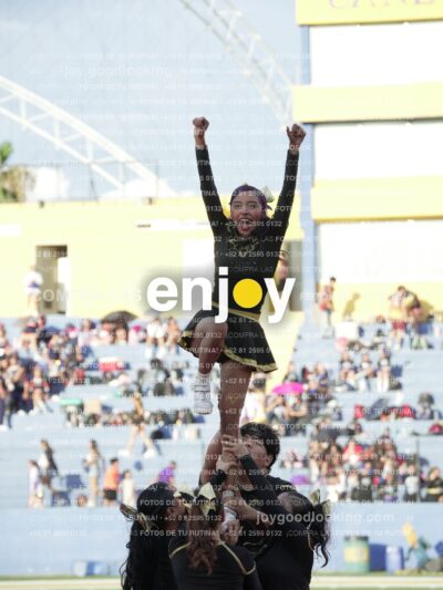 Joy06421