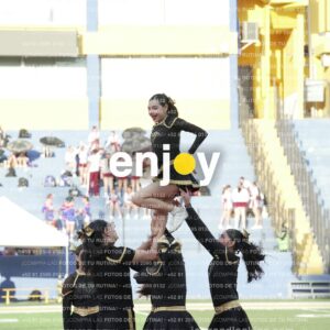 Joy06437