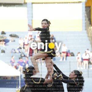 Joy06438