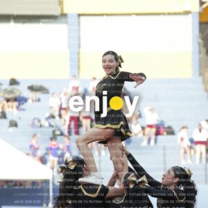 Joy06439