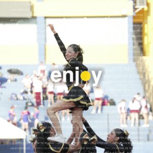 Joy06441