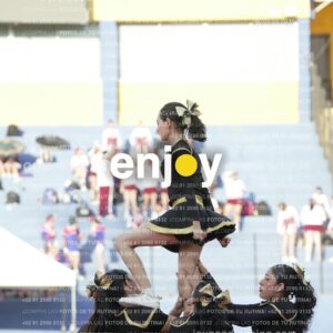Joy06443