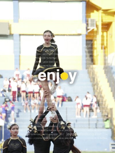 Joy06446