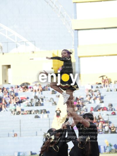 Joy06448