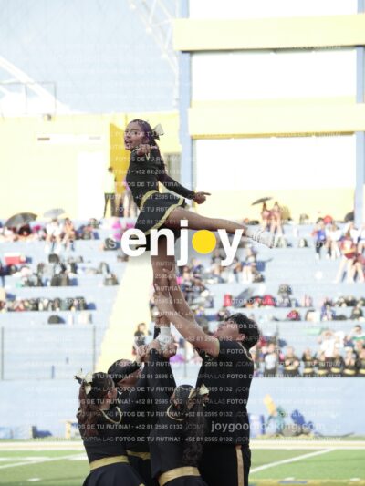 Joy06451