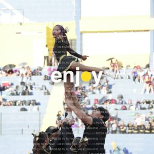 Joy06451