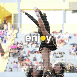 Joy06471