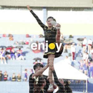 Joy06474