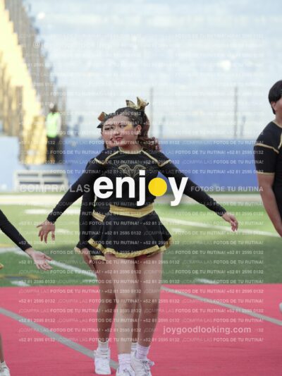 Joy06510