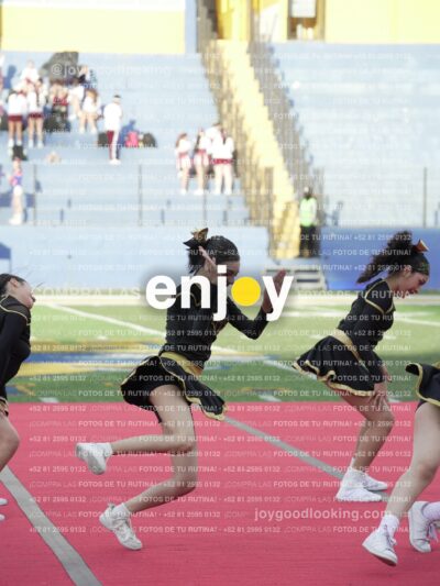 Joy06516