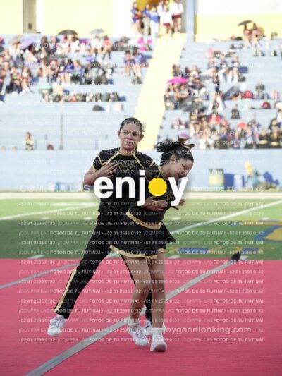 Joy06531