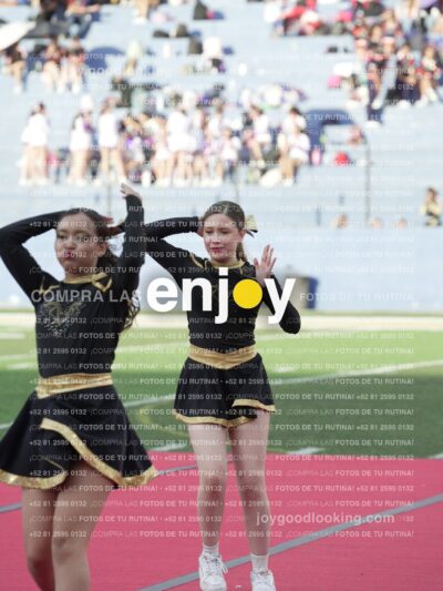 Joy06539