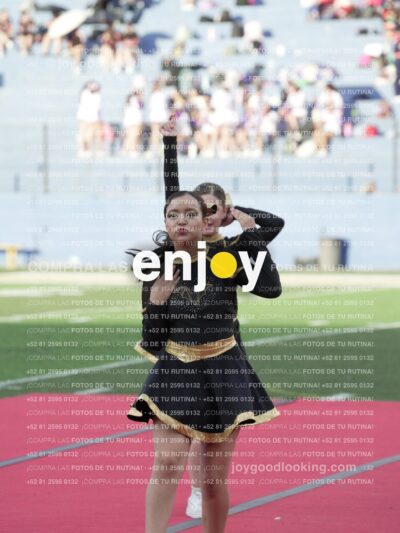 Joy06540
