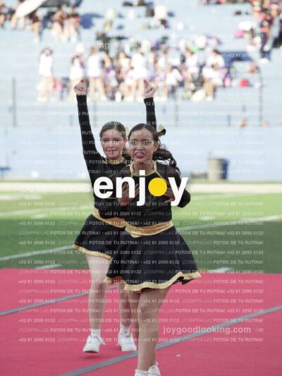 Joy06541