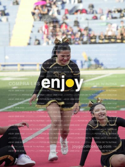 Joy06548