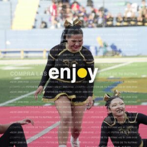Joy06548