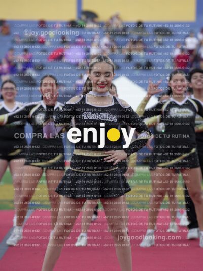 Joy06563