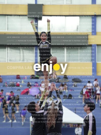 Joy06573