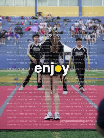 Joy06579