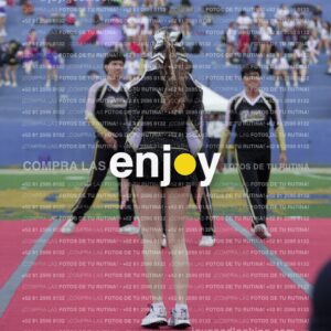 Joy06579