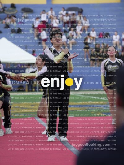 Joy06586
