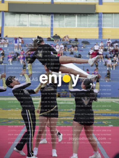 Joy06600
