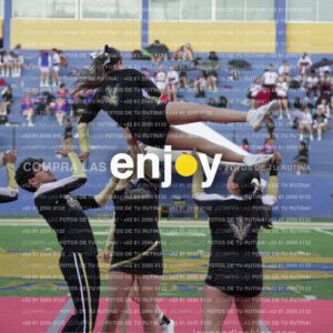 Joy06600