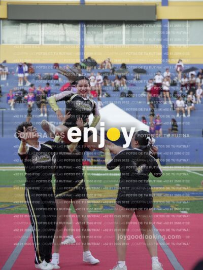 Joy06602