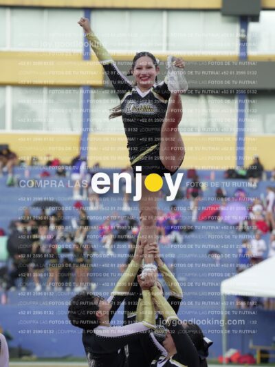 Joy06623
