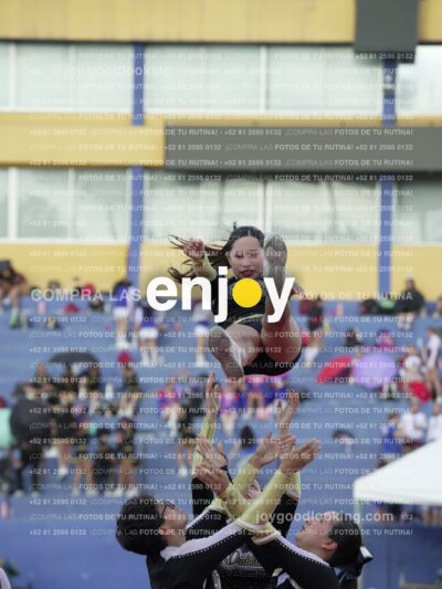 Joy06625