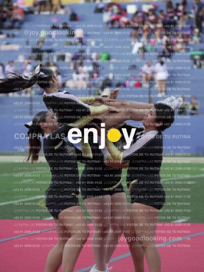 Joy06627