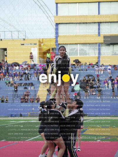Joy06639