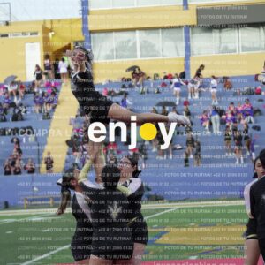 Joy06648