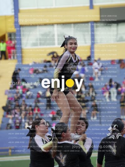 Joy06655