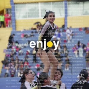 Joy06655