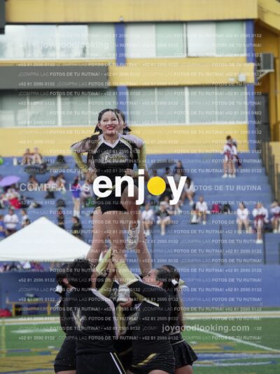 Joy06666