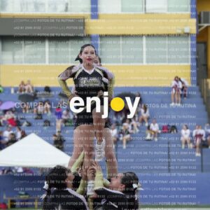 Joy06669