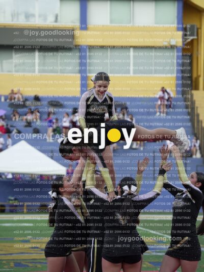 Joy06677