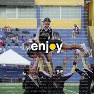 Joy06677
