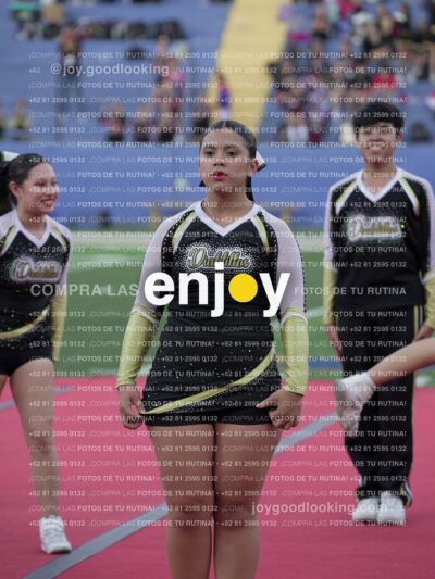 Joy06690
