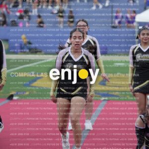 Joy06695