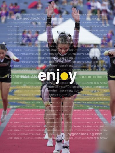 Joy06696