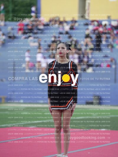 Joy06738