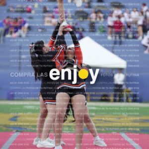 Joy06741