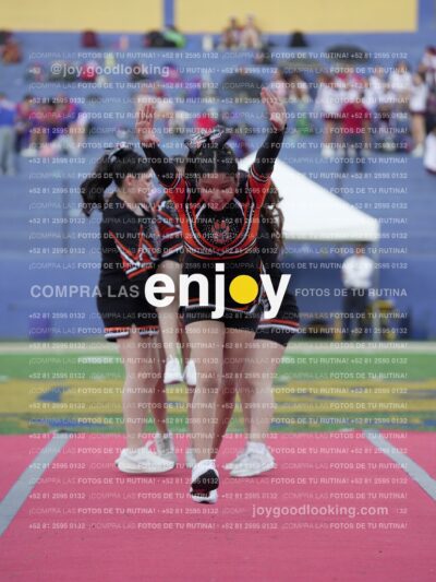 Joy06743
