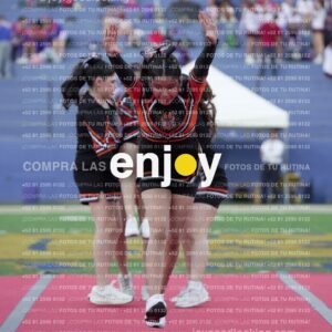Joy06743