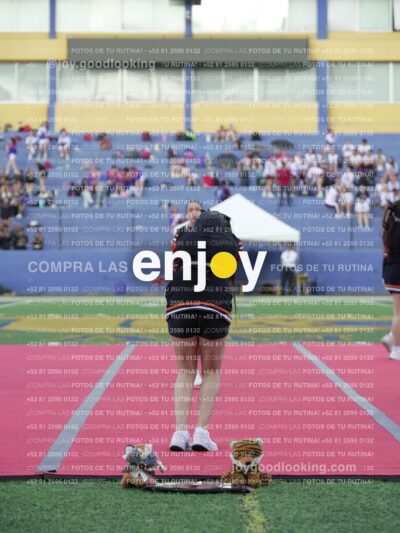 Joy06747