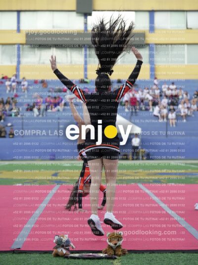 Joy06748