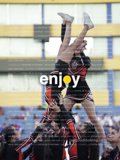 Joy06773